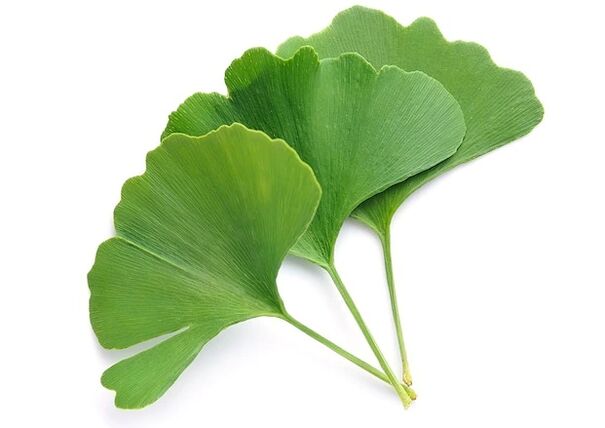 ZXCVNMQWERT contient du ginkgo biloba